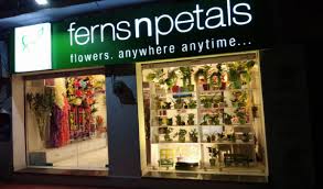 Fernsnpetals top verified Promo code, Coupons and Offers | April 2025 Coupons