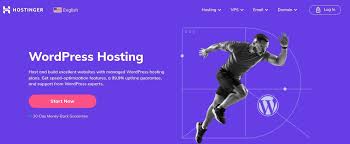 Hostinger top verified Promo code 80% Off on Hosting + Free Domain | June 2025 Coupons
